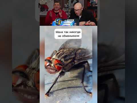 ЗАСМЕЯЛСЯ-ПОДПИСАЛСЯ Ч.085🤣😹😅