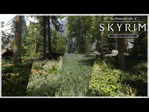 Comparing Skyrim's Best Grass Mods