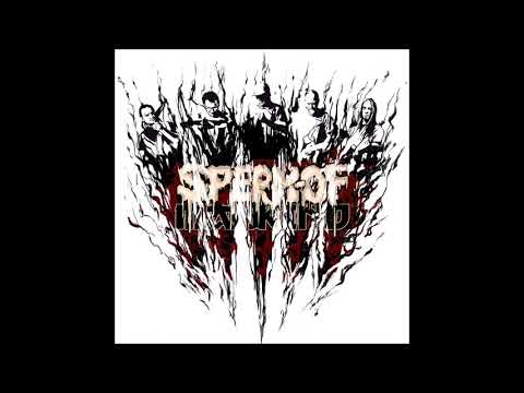 Sperm of Mankind - ""split w/ Pigtails"/groove goregrind/2018/split album
