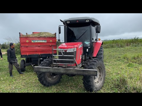 veja o movimento dos traçados na pb 111 levando  capim muido para o silo