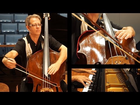 Giovanni Bottesini: Variations on "Nel cor piu non mi sento"