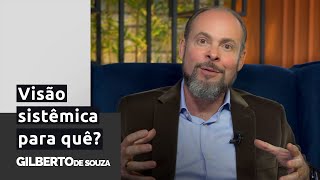 7 motivos para ver, pensar e agir de forma sistêmica na organização