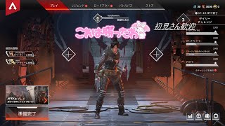 マイメロ男子　APEX　ランク上げ！！