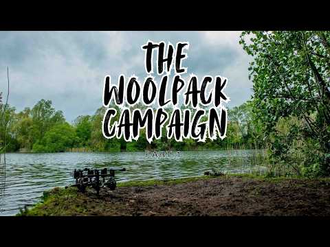 THE WOOLPACK CAMPAIGN | 2021/2022 SEASON | PART 1 | FIRST BLOOD