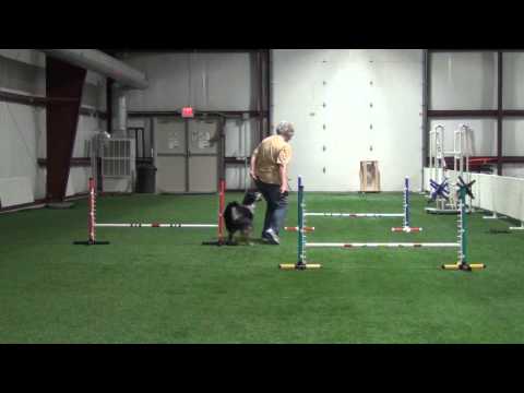 2014 03 12 German Turn - Willie