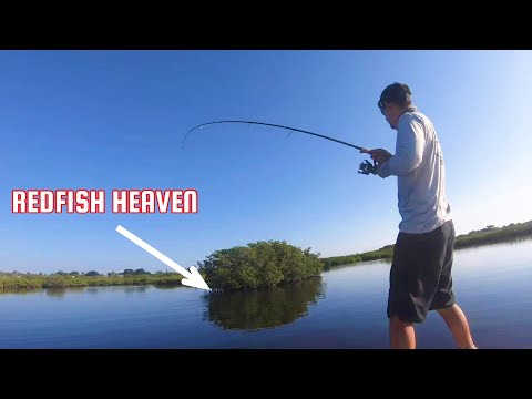 One of the BEST FISHING SPOTS in the BANANA RIVER #redfish #fishing #amazing #fish #florida  #video