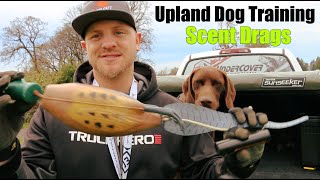 Upland Bird Dog Training | Scent Drags