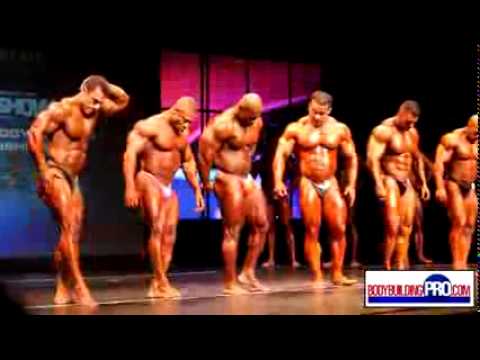 212 Class Bodybuilders   2013 Toronto Pro 2