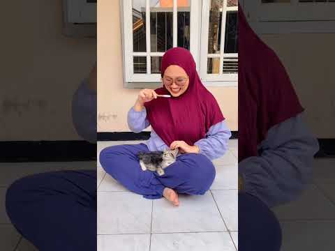 gamau di tinggal!!!
