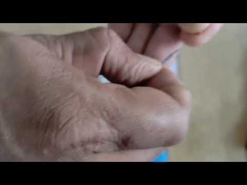 Cutting Plotter Blade