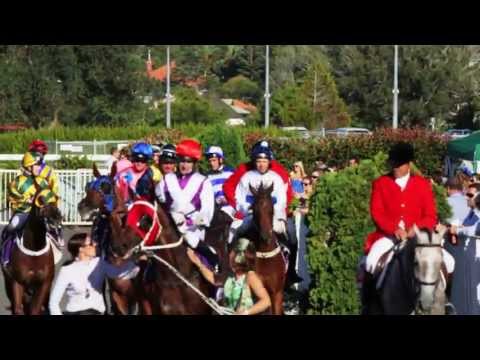 Auckland Cup Week 2013