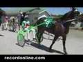 The amazing harness racing helmet cam!