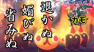 マジで強いタイレーツの型、教えます【ポケモン剣盾】