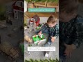Відео Ляльковий будиночок - ігровий набір "ФЕРМА" NestWood (комплектація MAXI)