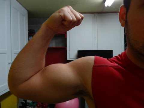 comment gagner de la masse osseuse