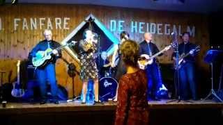 THe Vickings  -  I´m A Believer