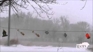 preview picture of video '2-1-15 Hazleton, Iowa Morning Blizzard Conditions'