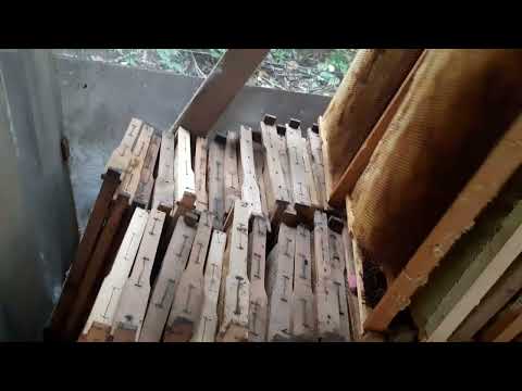 Albine,  păstrarea  ramelor  .