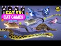 CAT GAMES OFFICIAL | BEST CAT TV COMPLATION FOR CATS | THE JERRY MOUSE HOLE 🐭 4K 8-HOURS | 🐱