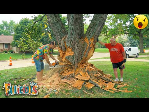 TOTAL IDIOTS AT WORK | Instant Regret Fails Compilation 2025 | Best fail of the week😂 #65