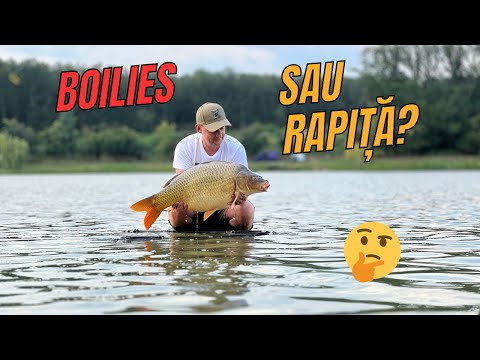 Aventura Pescuitului la Rapiță: Lacul Cetariu în Prim-Plan + BONUS Rețetă Ciorbă de Pește