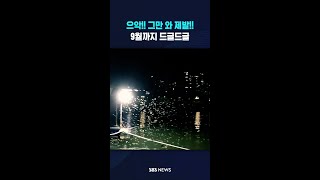 제발 그만 와!! #shorts