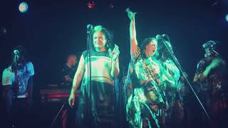 Public Opinion  Afro Orchestra  ft Kylie Auldist