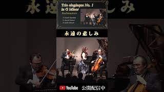 Download lagu Rachmaminov : Trio elegiaque No.1 ラフマニノフ|ピアノ三重奏曲 第1番ト短調「悲しみの三重奏曲」#shorts mp3 Download lagu Rachmaminov : Trio elegiaque No.1 ラフマニノフ|ピアノ三重奏曲 第1番ト短調「悲しみの三重奏曲」#shorts mp3