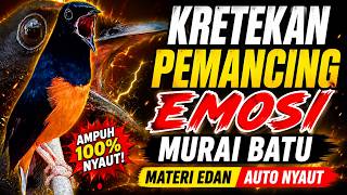 Download lagu KRETEKAN PEMANCING EMOSI MURAI BATU‼️ MATERI EDAN AUTO NYAUT & BONGKAR ISIAN mp3