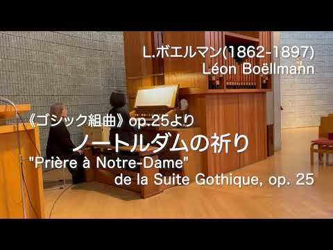 南側のファサード