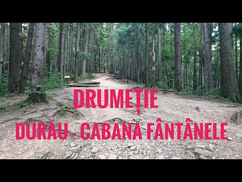 Traseu Durau - Cabana Fantanele