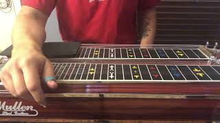 Jerry Jeff Walker “Navajo Rug” Pedal Steel Instruction