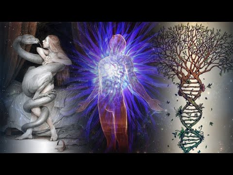 ACV267 Hipnosis: Cómo sanar tu Árbol Familiar y permitirte SER desde tu Ser Luz | Mátrix Individual