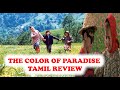 THE COLOR OF PARADISE 2000 | IRANIAN FILM | TAMIL REVIEW | தமிழ் விளக்கம் | VINOTH KUBRICK#23