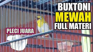 Download lagu PLECI BUXTONI Gunkar juara 🏆 Mewah Full isian, Sukabumi mp3