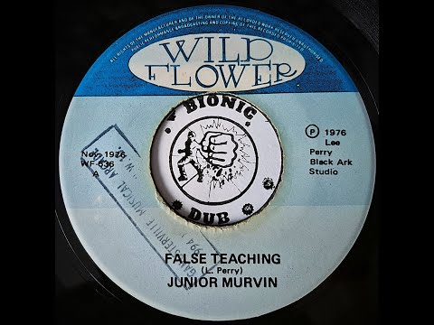 JUNIOR MURVIN - False Teaching [1976]