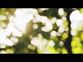 Xavier Rudd - Home (Fan Made Music Video)