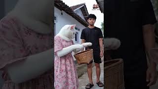 Download lagu Gaya udah elit, nasib malah sulit. Tadinya mau tebar pesona, eh malah jadi adonan telur kornet. 🕶️🍳 mp3