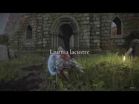 Elden Ring - Walkthrough 113 - Radagon Pt.2