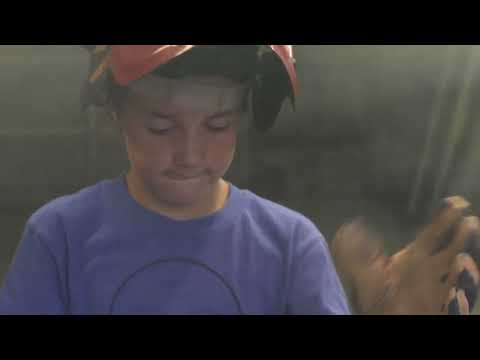 Announcement Trailer