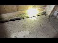 Bats & Their Guano Found in the Home in Englishtown, NJ