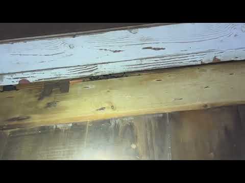 Bats & Their Guano Found in the Home in Englishtown, NJ