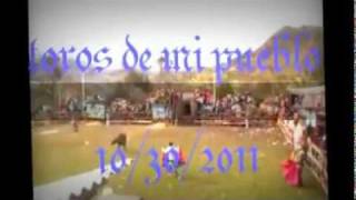 preview picture of video 'toros de redondel pasa'