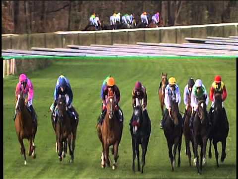 Galopprennbahn Dresden 18.11.2015 - 6.Rennen