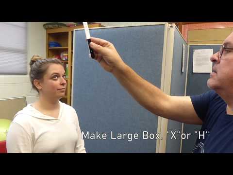 Assessing Eye Movements