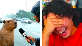 MEMES FEITOS POR IA = 😂