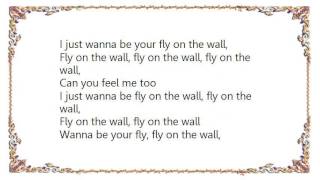 Bobby V - Fly on the Wall Intro Lyrics