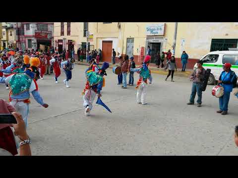 Negrillos de Talavera (Silvera)