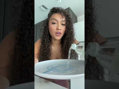 The Easiest Gnat Trap Ever