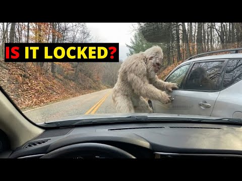 IT TRIED TO OPEN THE DOOR: Scariest Bigfoot Encounters of 2026